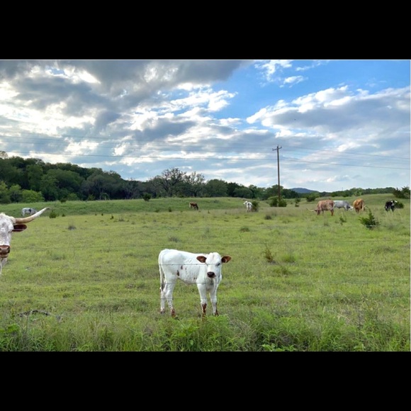 Meet your Posher, Machaela - Picture 1 of 1